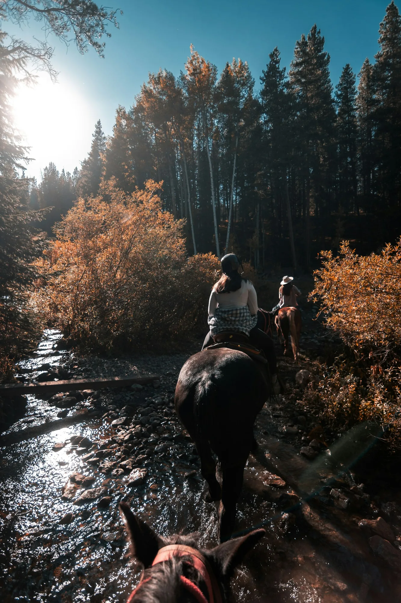 Horse Riding on Durmitor
