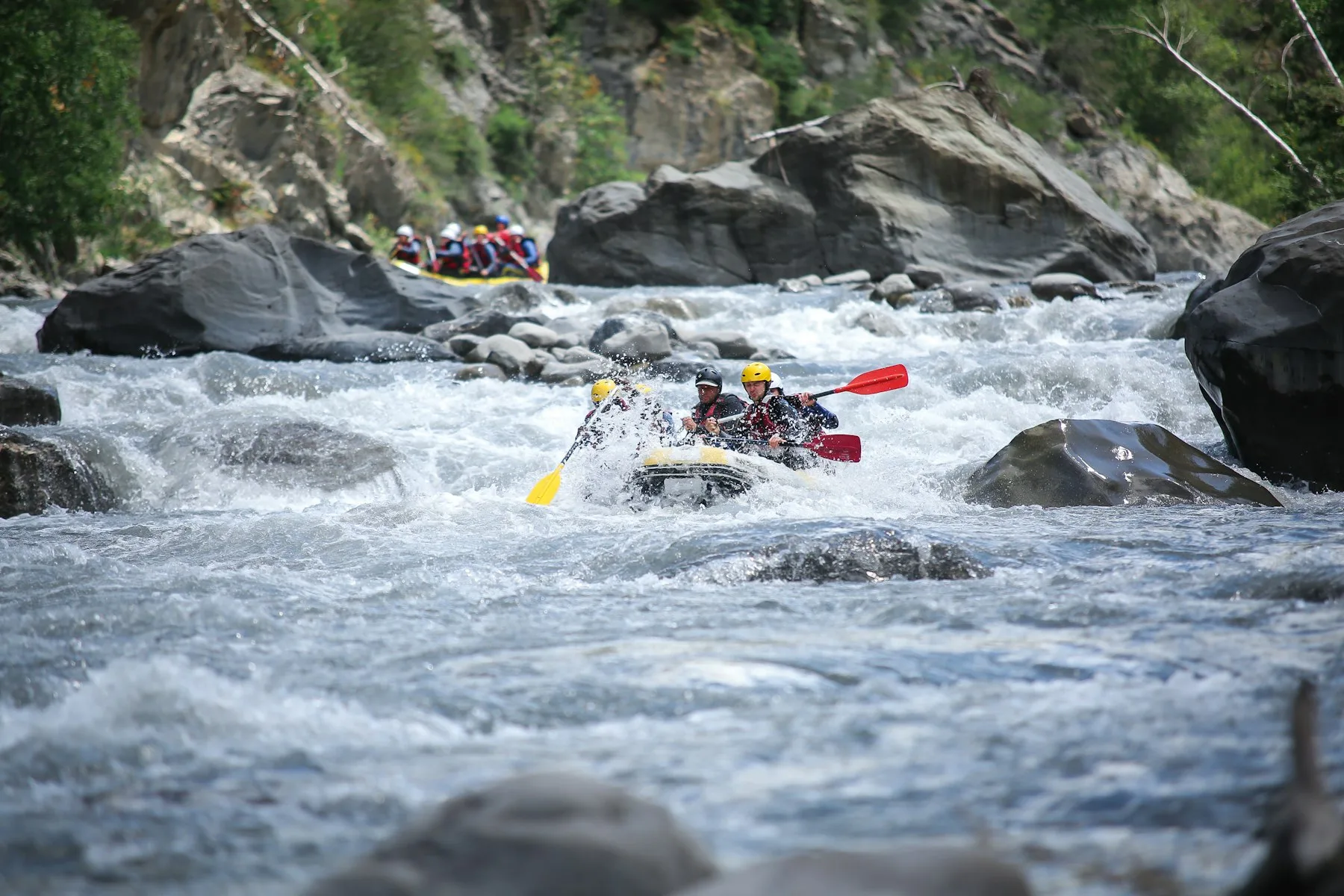 Tara Rafting — 12 km family route