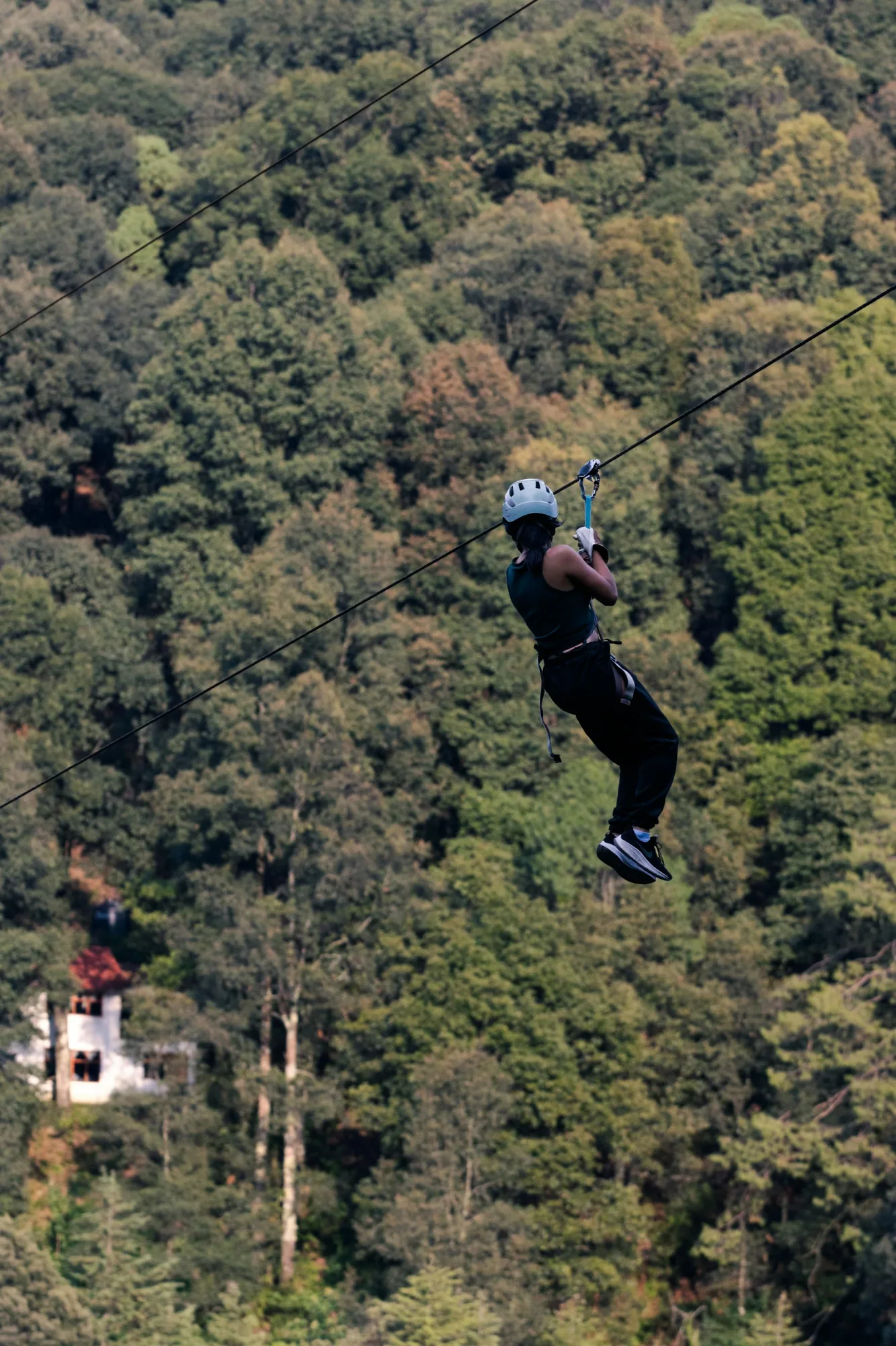 Tara Zipline — Yellow line
